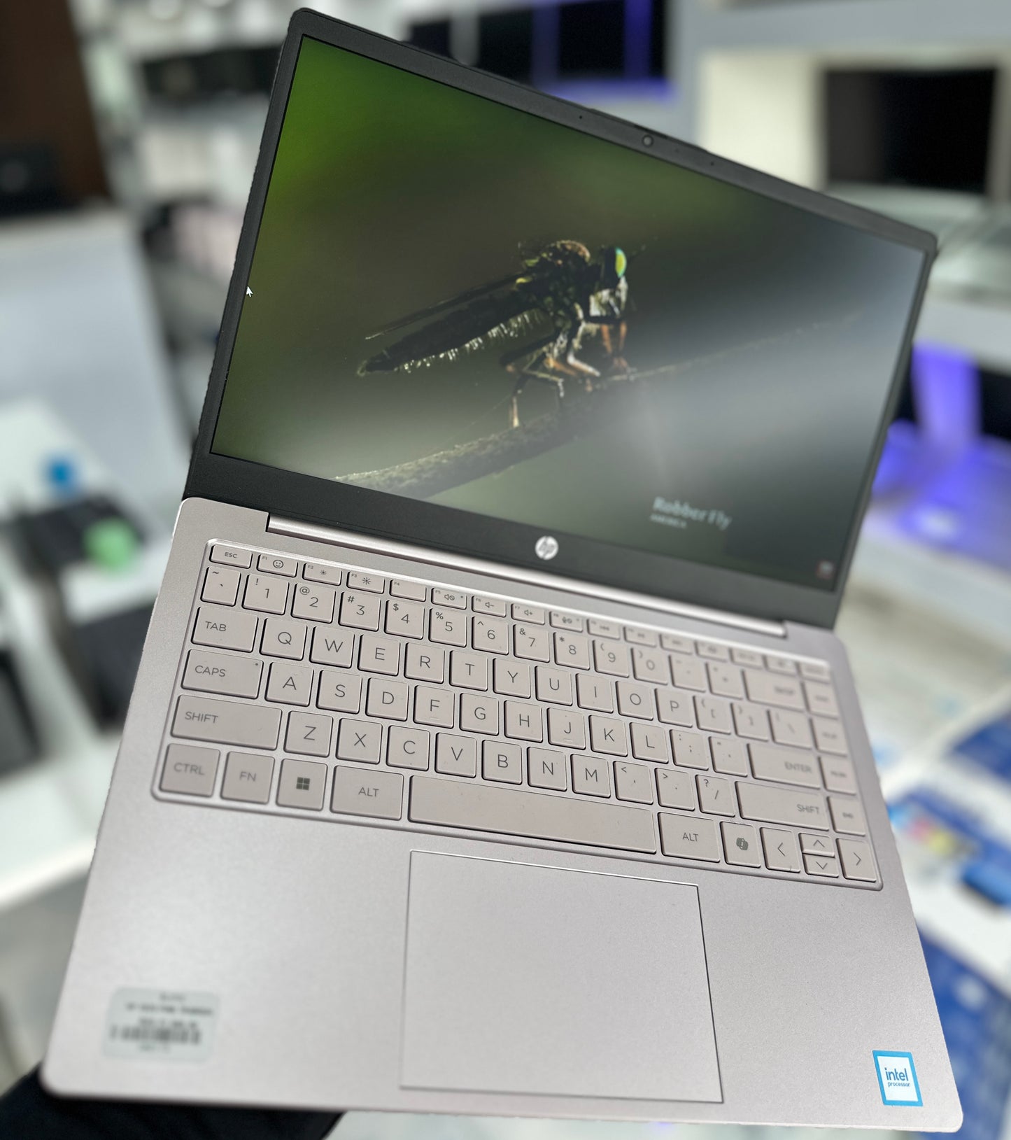 HP Nueva 2025 Rosa Elegante
